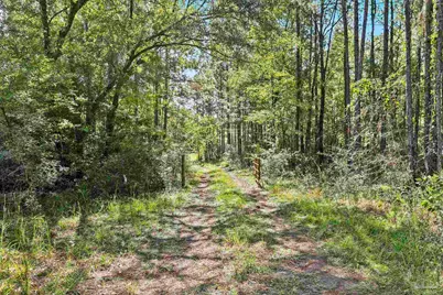 0 Nokomis Rd, Walnut Hill, FL 32568 - Photo 14