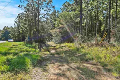 0 Nokomis Rd, Walnut Hill, FL 32568 - Photo 12