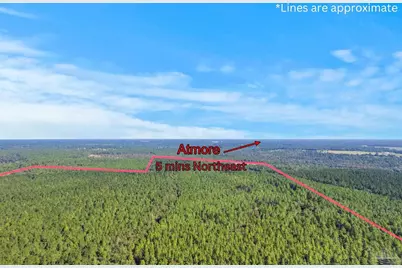 0 Nokomis Rd, Walnut Hill, FL 32568 - Photo 20