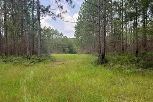 0 Nokomis Rd, Walnut Hill, FL 32568 - Photo 1