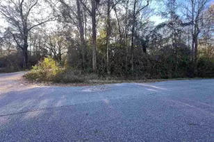 Brickyard At Blake, Molino, FL 32577 - Photo 1