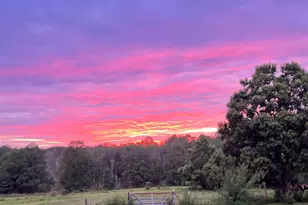 3843 Wilder Rd, Cantonment, FL 32533 - Photo 8