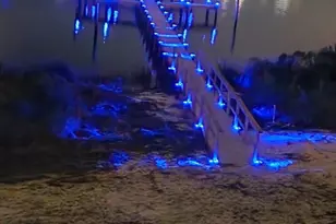 16300 Perdido Key Dr, Perdido Key, FL 32507 - Photo 36