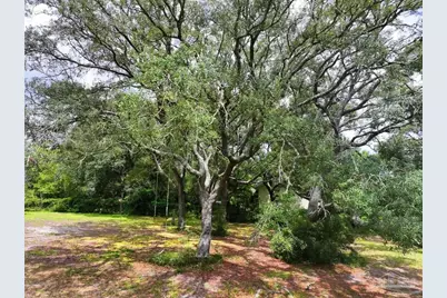 12535 Ophelia Dr, Pensacola, FL 32506 - Photo 10