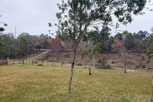 929 New Haven Dr, Cantonment, FL 32533 - Photo 22