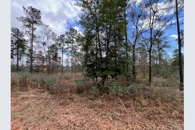 Lot 73 Cascade Dr, Pace, FL 32571 - Photo 6