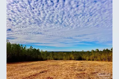 Lot 13 Br Buffalo Ridge Rd, Pace, FL 32571 - Photo 18