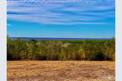 Lot 13 Br Buffalo Ridge Rd, Pace, FL 32571 - Photo 12