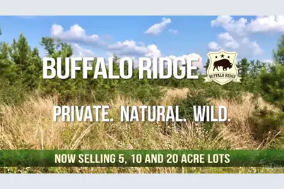 Lot 13 Br Buffalo Ridge Rd, Pace, FL 32571 - Photo 20