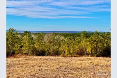 Lot 13 Br Buffalo Ridge Rd, Pace, FL 32571 - Photo 4