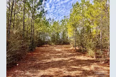 Lot 13 Br Buffalo Ridge Rd, Pace, FL 32571 - Photo 8