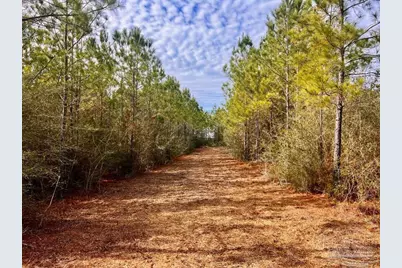 Lot 13 Br Buffalo Ridge Rd, Pace, FL 32571 - Photo 6