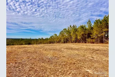 Lot 13 Br Buffalo Ridge Rd, Pace, FL 32571 - Photo 14