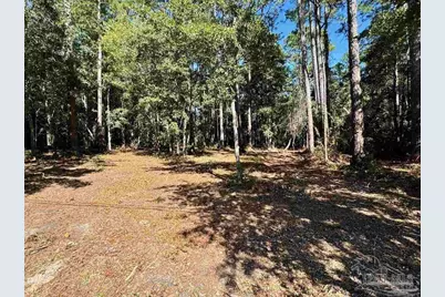 0000 Owensville Rd, Milton, FL 32583 - Photo 2