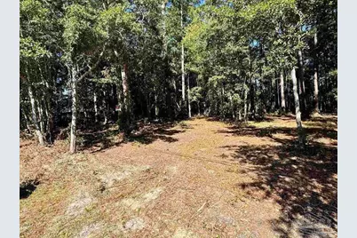 0000 Owensville Rd, Milton, FL 32583 - Photo 4