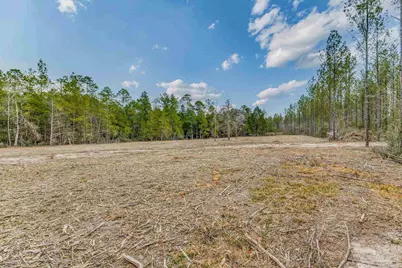 8997 Indian Ford Rd #44.23 Acres, Milton, FL 32570 - Photo 52