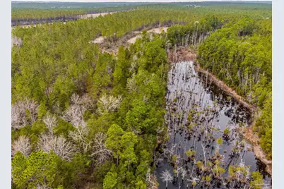 8997 Indian Ford Rd #44.23 Acres, Milton, FL 32570 - Photo 18