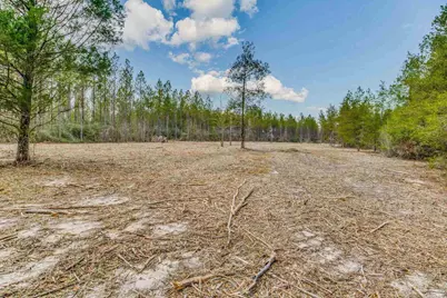 8997 Indian Ford Rd #44.23 Acres, Milton, FL 32570 - Photo 46