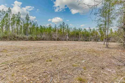8997 Indian Ford Rd #44.23 Acres, Milton, FL 32570 - Photo 48