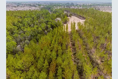 8997 Indian Ford Rd #44.23 Acres, Milton, FL 32570 - Photo 24