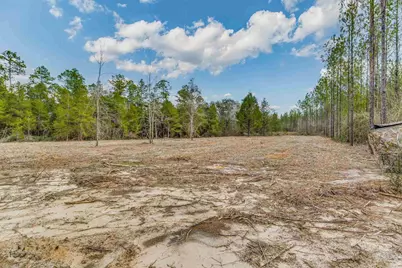 8997 Indian Ford Rd #44.23 Acres, Milton, FL 32570 - Photo 42
