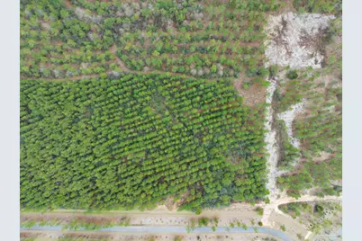 27 Ashbridge Ln, Pace, FL 32571 - Photo 10