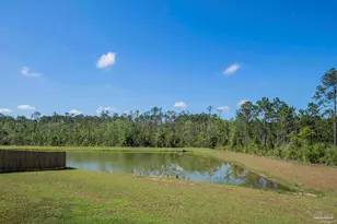 10909 Blacktail Loop, Pensacola, FL 32526 - Photo 48