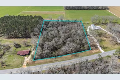 10200 Blk Hwy 97, Walnut Hill, FL 32568 - Photo 1