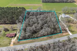 10200 Blk Hwy 97, Walnut Hill, FL 32568 - Photo 1