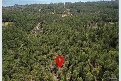 Robinson Point Rd, Milton, FL 32583 - Photo 2