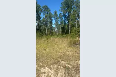 Robinson Point Rd, Milton, FL 32583 - Photo 10