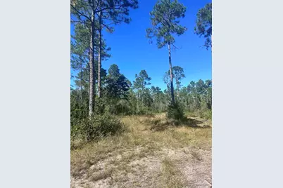 Robinson Point Rd, Milton, FL 32583 - Photo 12