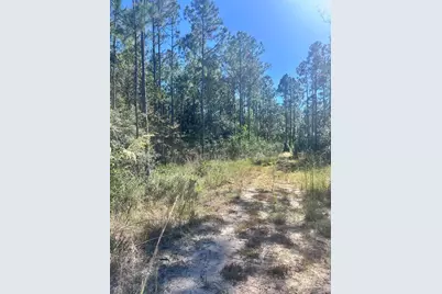 Robinson Point Rd, Milton, FL 32583 - Photo 14