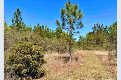 Lot 33 Pine Preserve Ln, Pace, FL 32571 - Photo 20