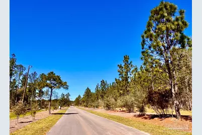 Lot 33 Pine Preserve Ln, Pace, FL 32571 - Photo 8