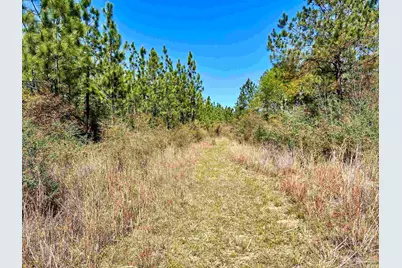 Lot 33 Pine Preserve Ln, Pace, FL 32571 - Photo 18