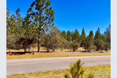 Lot 33 Pine Preserve Ln, Pace, FL 32571 - Photo 12