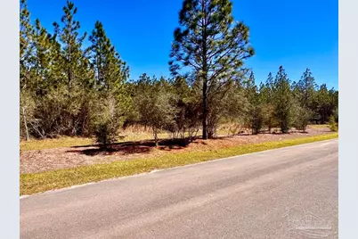 Lot 33 Pine Preserve Ln, Pace, FL 32571 - Photo 10