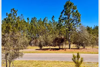 Lot 33 Pine Preserve Ln, Pace, FL 32571 - Photo 14