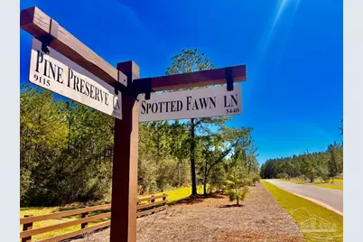 Lot 33 Pine Preserve Ln, Pace, FL 32571 - Photo 2