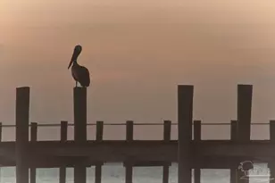 23 Osprey Dr, Pensacola, FL 32507 - Photo 30