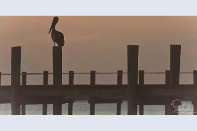 36 Osprey Dr #Slip 36, Pensacola, FL 32507 - Photo 30