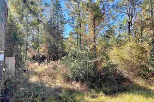 00 (Lot A & B) Edith Ave, Milton, FL 32570 - Photo 1