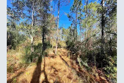 00 (Lot A & B) Edith Ave, Milton, FL 32570 - Photo 16