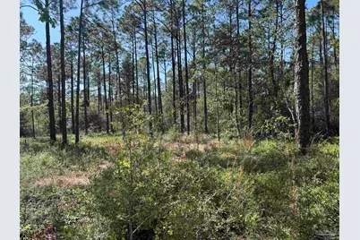 N 14th Ave, Milton, FL 32570 - Photo 2