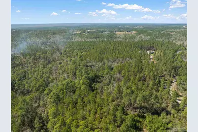 00041 Buffalo Creek Dr, Pace, FL 32571 - Photo 6