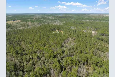00041 Buffalo Creek Dr, Pace, FL 32571 - Photo 12