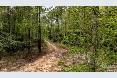 4660 Morristown Rd, Jay, FL 32565 - Photo 46