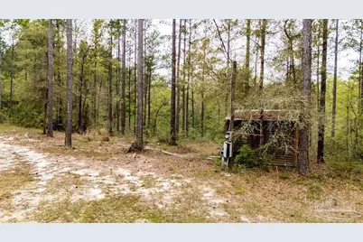 4660 Morristown Rd, Jay, FL 32565 - Photo 30