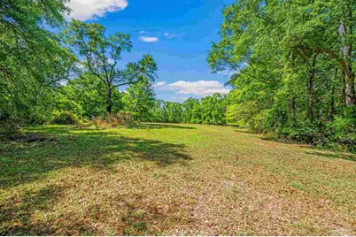 3015 Molino Rd, Molino, FL 32577 - Photo 10